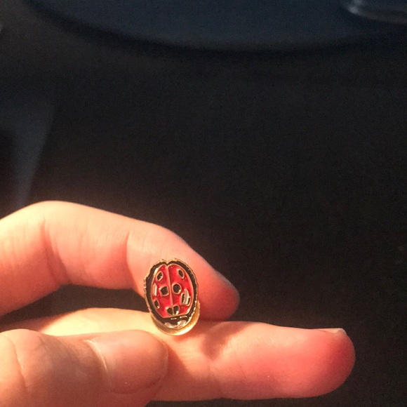 Supreme Ladybug Pin - Picture 3 of 4